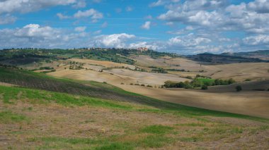 Tuscany 'nin engin yuvarlanan tepeleri tüylü bulutlarla kaplı parlak mavi bir gökyüzünün altında çarpıcı bir manzara sunuyor. Yemyeşil alanlar, kırsal bölgelerin cazibesini somutlaştıran altın alanlarla çok güzel tezat oluşturuyor..
