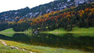 Görkemli dağlarla çevrelenmiş Falensee 'nin sakin suları muhteşem sonbahar yapraklarını yansıtıyor. Appenzell' de doğanın güzelliğinin yeşerdiği muhteşem bir an yaratıyor..