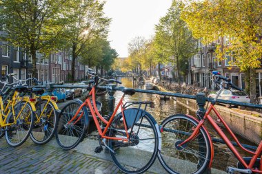 Altın sonbahar yaprakları rüzgarda sallanırken renkli bisikletler kanalların kenarında dinleniyor. Amsterdam 'ın sakin su yolları güzel sonbahar manzarasını yansıtıyor..