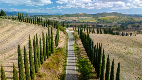 A picturesque view of the Tuscan landscape showcases tall cypress trees that elegantly line a serene, winding road.