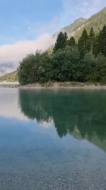 Şafakta bir dağ gölünün huzurunu hissedin. Canlı ağaçlar ve yumuşak sislerle çevrili güzellikler Plansee Avusturya 'nın sakin sularına yansıyor.