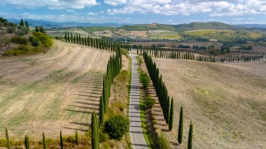 İtalya, Toskana 'nın büyüleyici manzarasında muazzam altın tarlalar boyunca uzanan ve uzun selvi ağaçlarıyla çevrili, dolambaçlı bir yol boyunca uzanan güzel bir yolculuk, doğanın dinginliğini gözler önüne seriyor..