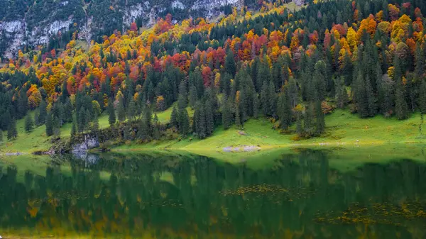 Sonbahar manzarayı kapladığında, turuncu, kırmızı ve sarı renkli canlı renkler Falensee çevresindeki ağaçları doldurur..