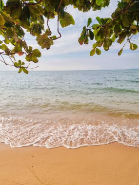 Samae San Adası 'nın sakin suları yumuşak dalgaların kumlu sahili öptüğü gibi rahatlamaya davetiye çıkarır. Bereketli yeşillik huzurlu sahneyi çerçeveler ve mükemmel bir ada kaçamağı deneyimi yaratır..