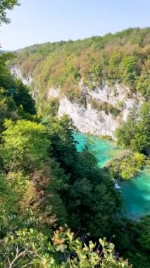 Kendinizi kristal berrak zümrüt sularının engebeli uçurumlardan nazikçe aktığı pitoresk bir manzaraya daldırın. Canlı yeşillik kayalık oluşumlarla iç içe geçiyor, Plitviç Gölleri Hırvatistan