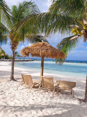 Yumuşak beyaz kumların nazik dalgalarla buluştuğu bu muhteşem kumsalı sükunet kaplar. Palmiye ağaçları zarif bir şekilde sallanıyor, Aruba 'da sazdan bir şemsiye altında davetkâr şezlonglar için gölge sağlıyor.