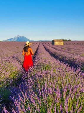 Canlı lavanta tarlalarında dolaşan kırmızı elbiseli bir kadın huzurlu manzaranın tadını çıkarıyor. Kırsal bir yapı mor çiçeklerin arasında duruyor, Provence France.