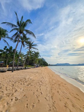 Stroll along the golden sands of Bangsaray Thailand as gentle waves kiss the shore. Palm trees sway in the breeze, creating a serene atmosphere for relaxation and exploration. clipart