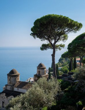 Görkemli ağaçlar, sakin mavi suların güzel tepelerle harmanlandığı Amalfi Sahili 'nin çarpıcı kıyı şeridini çerçeveliyorlar. Bu nefes kesici manzara, doğa ve tarih için takdiri davet ediyor..