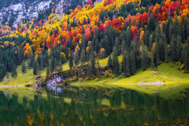 Appenzell 'in göbeğinde Falensee, İsviçre' nin görkemli zirveleri ve yemyeşil yeşillikleriyle çevrili kristal berrak sularda parlak kırmızı ve sarılarla dolu sonbahar yapraklarını sergiliyor.