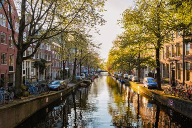 Altın yapraklar sonbahar melteminde hafifçe sürükleniyor, Amsterdam ikonik kanallarına yansıyor, Hollanda şehrinde sonbaharın esansını yakalayan pitoresk bir an yaratıyor.