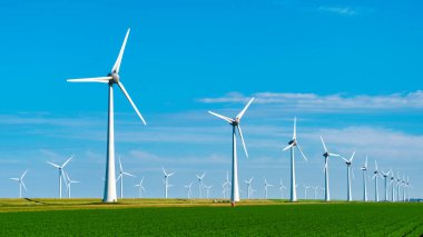 Mavi gökyüzü yeşil enerji kavramına sahip elektrik üreten yel değirmeni türbinleri, Hollanda 'nın en büyük rüzgar çiftliği olan Noordoostpolder' deki yel değirmeni parkı.