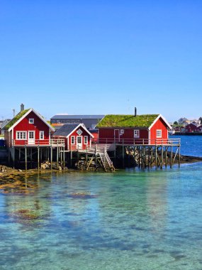 Reine, Lofoten, Norway,A group of traditional red houses with grass roofs stand on stilts in the crystal clear water of a Norwegian fjord in summer with a blue sky clipart