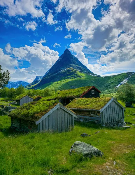 Yuvarlanan tepeler ve yüksek dağların arasına yerleşmiş yemyeşil çatıları olan geleneksel Norveç evlerinden oluşan bir küme. Yazın Norveç 'in iç kesimlerinde