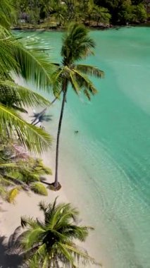 Koh Kood Adası Tayland 'ın dingin güzelliğini yaşayın. Yumuşak kumlu sahillerde hafif dalgaların dolaştığı yer. Bereketli palmiye ağaçları tropik esintide sallanıyor, cennetten mükemmel bir kaçış sunuyor..