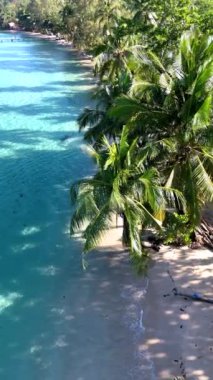 Tayland 'daki Koh Kood Adası' nın el değmemiş plajlarını ve gür palmiye ağaçlarını gösteren huzurlu atmosferini hissedin. Rahatlamak ve doğal güzelliklere dalmak için mükemmel..