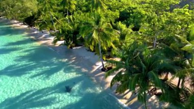 Kristal berrak suları ve canlı yeşil palmiye ağaçları ile Koh Kood Adası 'nın dingin güzelliğini deneyin. Bu tropik cennet, doğal merak ve rahatlıkla dolu huzurlu bir kaçış sunuyor..