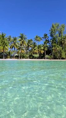 Tayland, Koh Kood 'un çarpıcı turkuaz sularını ve canlı palmiye ağaçlarını deneyin. Bu tropikal cennet sizi açık mavi gökyüzünün altındaki sakin plajlarda dinlenmeye davet ediyor..
