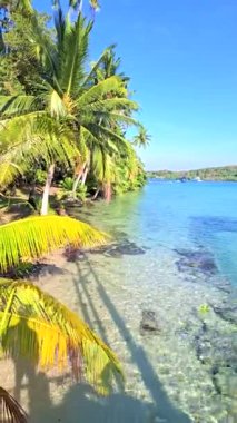 Koh Kood, Tayland 'ın berrak sularının bereketli palmiye ağaçlarıyla buluştuğu sakin atmosferini hissedin. Güneşi emerek ve büyüleyici sahil manzarasını keşfederek mükemmel bir günün tadını çıkar..