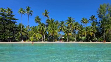 Koh Kood, Tayland 'ın sakin atmosferini hissedin. Güneş el değmemiş plajı altın ışıkla aydınlatırken. Yumuşak dalgalar kıyıya vurur, rahatlamaya ve maceraya davetiye çıkarır..