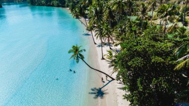 Kristal berrak sular, az sayıda ziyaretçinin sallanan palmiye ağaçları altında sükunetin tadını çıkardığı Koh Kood 'un el değmemiş kıyı şeridini nazikçe kaplıyor. Titreşimli atmosfer rahatlamayı ve macerayı davet ediyor..