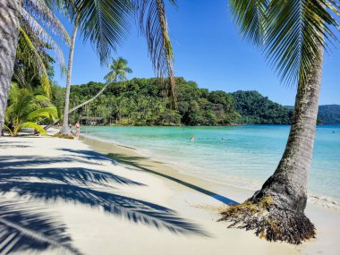 Bright sunlight casts shadows on the soft sand as palm trees sway gently. Visitors enjoy the serene waters of Koh Kood, surrounded by lush greenery and a perfect tropical ambiance. clipart