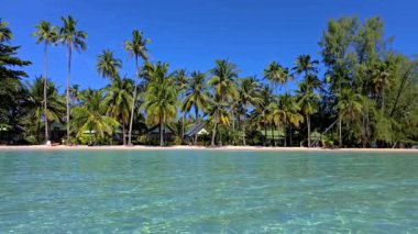 Temiz suların kumlu kıyılarla buluştuğu ve palmiye ağaçlarının rüzgarda dans ettiği Tayland 'daki Koh Kood' un sakin güzelliğini deneyin. Bu saklı mücevherde cenneti kucaklayın..