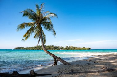 Kristal berrak sular Koh Kood 'un kumlu sahillerine doğru yavaşça uzanır, eşsiz bir palmiye ağacı okyanusa doğru çarpıcı bir şekilde eğilir..