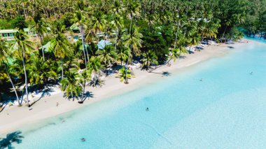 Kristal berrak sular esintide sallanan palmiye ağaçları gibi Koh Kood 'un beyaz kumlu kıyılarını nazikçe sarıyor. Sahile gidenler tropikal güneşin altındaki sakin atmosferin tadını çıkararak huzur dolu bir cennet yaratıyorlar..