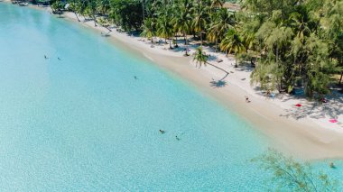 Kristal berrak sular, Tayland 'ın yumuşak, kumlu Koh Kood plajına nazikçe sarılır. Bereketli palmiye ağaçları, ziyaretçiler gibi sallanıyor. Huzurlu bir günün tadını çıkarıyorlar. Doğanın güzelliğini ve sıcaklığını kucaklıyorlar..