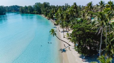 Yumuşak kumlar ve canlı palmiye ağaçları Tayland 'ın Koh Kood kentinin pitoresk kıyı şeridini oluşturur. Ziyaretçiler sıcak güneşin ve ferahlatıcı suların tadını çıkararak bu tropik cennette kalıcı anılar yaratıyorlar..
