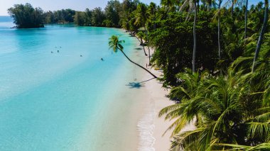 Turkuaz sular Tayland 'da Koh Kood' un el değmemiş kıyılarını nazikçe öper. Palmiye ağaçları meltemde usulca sallanır..