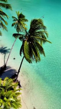 Koh Kood, Tayland 'ın nefes kesici manzaralarını deneyin. Yumuşak kumlu plajlarda sallanan gür palmiye ağaçları. Kristal berraklığında turkuaz sular sükuneti ve macerayı davet eder.