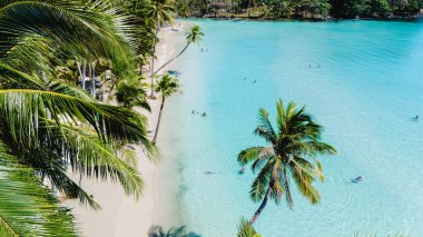 Ziyaretçiler, bereketli palmiye ağaçları ve ışıldayan turkuaz sularla çevrili Tayland 'ın Koh Kood kentinde sakin bir sahilde sakin bir günün tadını çıkarıyorlar. Atmosfer davetkar ve huzurlu..