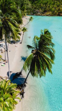 Lush green palm trees lean over the soft sandy beach, where sunbathers relax under the warm sun. Turquoise waters gently lap at the shore, completing this tranquil tropical escape. clipart