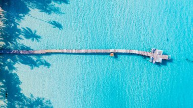 The stunning turquoise waters of Koh Kood cradle a long wooden pier, inviting visitors to explore. Sunlight dances on the surface, creating a mesmerizing reflection of palm trees overhead. clipart