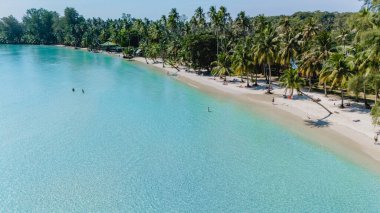 Işıl ışıl turkuaz sular Tayland 'ın Koh Kood kentindeki el değmemiş bir plaj boyunca rahatlamaya yol açıyor. Güneşlenenler güneşin tadını çıkarırlar. Yumuşak meltemde sallanan palmiye ağaçları tropik bir cennet yaratır..