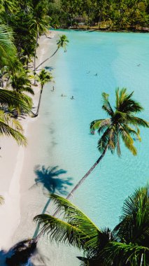 Sakin turkuaz sular Koh Kood, Tayland 'daki canlı palmiye ağaçlarını yansıtır. İnsanlar açık mavi gökyüzünün altında kumlu sahil boyunca boş zaman aktivitelerini severler..