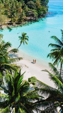 Altın kumlar kristal gibi berrak sularla buluşurken iki birey sahil boyunca sakin bir şekilde yürüyor. Bereketli palmiye ağaçları ılık esintide yavaşça sallanarak tropikal atmosferi güçlendirir..