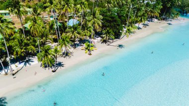 Kristal berrak sular ve yumuşak kumlu kıyılar Koh Kood, Tayland 'da bir cennet yaratır. Tomurcuklanmış palmiye ağaçları, ziyaretçiler sıcak güneşin altındaki tenha sahil atmosferinin tadını çıkarırken nazikçe sallanıyor..