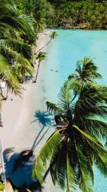Tayland 'ın göbeğine yerleşen Koh Kood' un çarpıcı beyaz kumlu kıyıları, sallanan palmiye ağaçları ve canlı turkuaz suları vardır. Ziyaretçiler güneşin tadını çıkararak bu tropik cennette anılar yaratıyorlar..