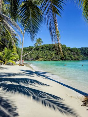 Berrak palmiye ağaçları yumuşak beyaz kumun üzerine neşeli gölgeler sererken, berrak sular ziyaretçileri güneşli bir günde Tayland 'ın Koh Kood kentinin sakin güzelliğinin tadını çıkarmaya davet ediyor..