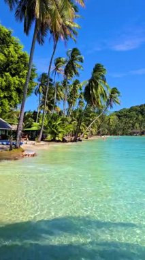 Koh Kood Adası Tayland 'ın nefes kesici güzelliğini keşfedin. Turkuaz suların kıyıya çarptığı, sallanan palmiye ağaçlarıyla çevrili. Güneşin altındaki tropik cenneti tecrübe et..