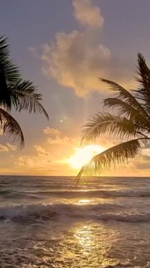 Koh Kood Adası 'nın sakin suları üzerinde çarpıcı gün batımını izleyin. Bu tropikal cennette sallanan palmiye ağaçları tarafından çerçevelenmiş yumuşak dalgalar kıyıya vururken, altın renkler gökyüzünü aydınlatıyor..