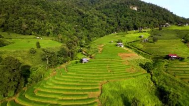 Tayland, Chiang Mai 'deki büyüleyici pirinç tarlalarını keşfedin. Yeşilliğin manzaralı tepelerle buluştuğu yer. Bu canlı manzarada kırsal yaşamın sükunetini ve güzelliğini hissedin..