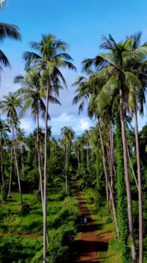 Koh Mak 'ın dingin yollarında dolaş, uzun palmiye ağaçları rüzgarda hafifçe sallanıyor. Doğanın güzelliğini, temiz havayı ve parlak mavi gökyüzünün altındaki canlı yeşilliği hissedin..