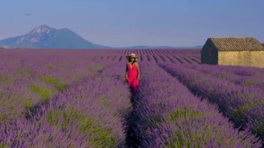 Güneş batarken Provence 'deki canlı lavanta tarlalarında dolaşıp büyülü bir parıltı saçacağım. Huzurlu atmosferi ve etrafındaki dağların ve tuhaf yapıların çarpıcı manzarasını tecrübe edin..