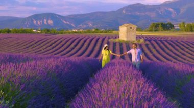 Ilık güneşin altında nefes kesen lavanta tarlaları, iki arkadaşın canlı mor çiçeklerin arasında el ele dolaşması gibi. Provence Fransa 'nın manzaraları barış ve güzellik sunuyor..