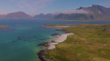 Berrak suların yemyeşil tarlalarla buluştuğu ve arka planda görkemli dağların yükseldiği Lofoten Norveç 'in çarpıcı sahil şeridini keşfedin. Doğal güzelliklerle dolu mükemmel bir yaz kaçışı..