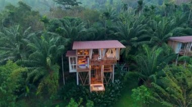 Yükselen palmiye ağaçlarının arasına yerleşmiş büyüleyici bir ağaç evi, davetkar dekoru ve sakin atmosferiyle bizi çağırıyor. Doğa her köşeyi sarıp barışçıl bir kaçış yaratıyor..